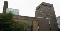 Family of boy thrown from Tate Modern art gallery issue poignant update