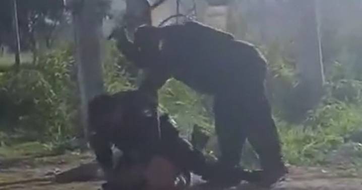 ¡Brutal agresión! Captan a policía de NL golpeando a hombre sometido; lo separan del cargo