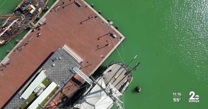 Foul-smelling 'pistachio tide' takes over Baltimore's Inner Harbor