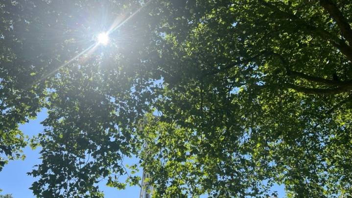 Sunny skies return to Seattle after fall storm clears out