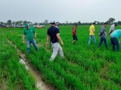 Con saber argentino, productores venezolanos mejoraron 20 por ciento los rindes y bajaron 40 por ciento sus costos