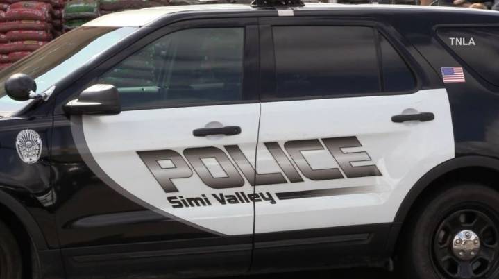 Teen arrested for string of crimes after crashing stolen Kia with ‘punched ignition’ 