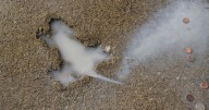 Ah, rats! Researchers say some other critter likely created Chicago's 'rat hole' sidewalk landmark