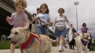 Here's what to know about Louisville's leash laws