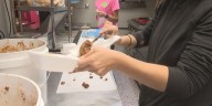 ‘We got you’: community members feed firefighters at chemical manufacturer fire