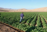 La red de regadíos de Tuineje y Pájara espera por el Gobierno de Canarias