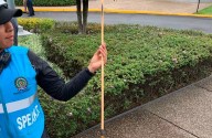 Indígenas hirieron con flechas a cuatro policías en protesta ante Embajada de EEUU en Bogotá (VIDEOS)