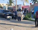 Maltrato animal en Mérida: muerte de perros en Ciudad Caucel, San José Vergel y Central de Abastos