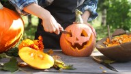 Here’s a look at events from October 23 through 26, 2025