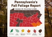 Time is running out to enjoy Pa. fall foliage this year. Here’s the latest report
