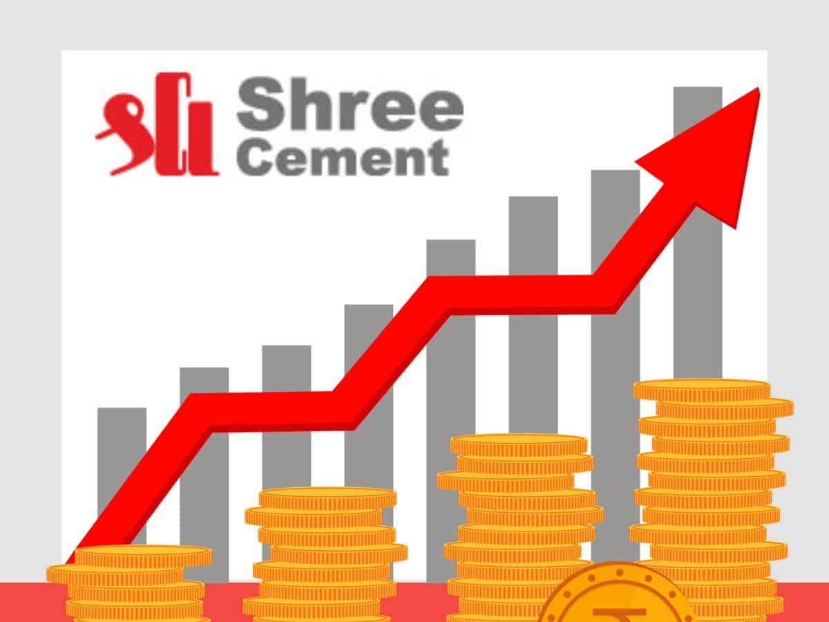 Shree Cement share price rises amid mixed brokerages' views