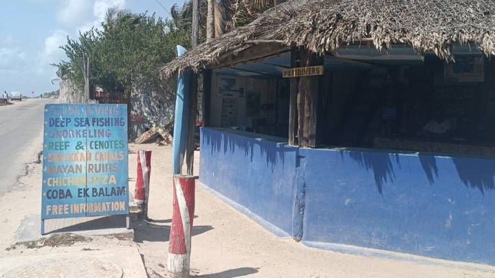 Preocupa a operadores turísticos la acelerada muerte de corales en Tulum