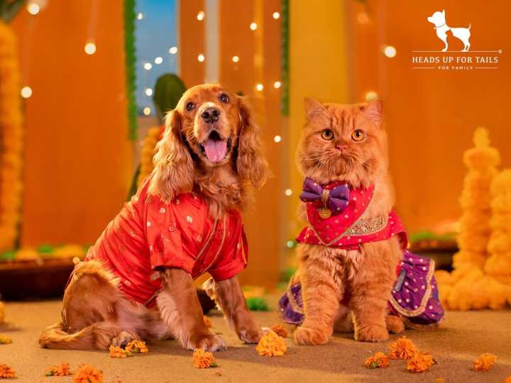 HUFT Launches ‘Dil Se Desi’ — A Festive Collection That Celebrate