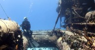 “Meditación sobre el océano” es la nueva exposición del Acuario Birch en la Jolla, California