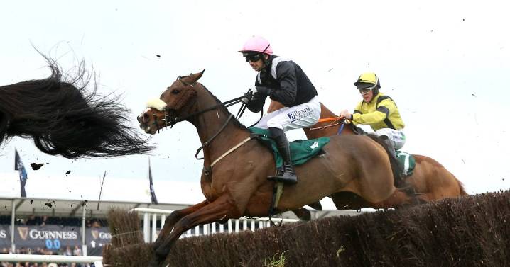 'He loves Cheltenham and 9-1 shot can make course form count' – Jason Heavey's racing tips