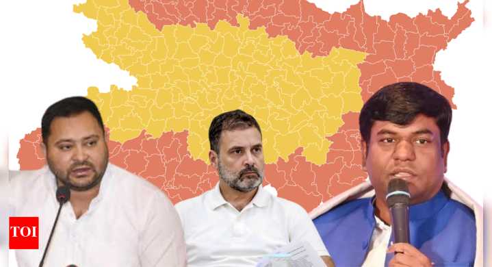 Bihar polls: Mukesh Sahani emerges as Mahagathbandhan's wildcard; is Congress the weakest link?