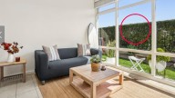Sydney locals baffled as one-bed apartment sells for $2.5m over 'mind