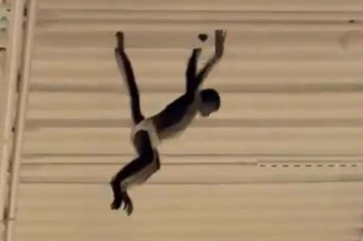 Spooked Monkey Gets Loose in Texas Spirit Halloween Store and Swings from Rafters