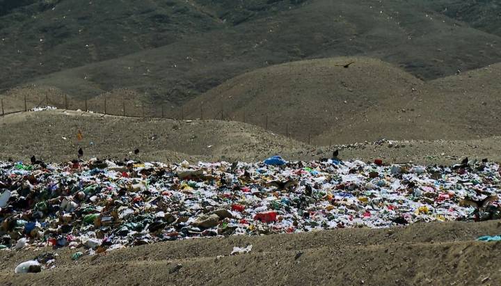 Aclaran hallazgo de cadáver en vertedero de Copiapó: víctima habría estado en contenedor de basura