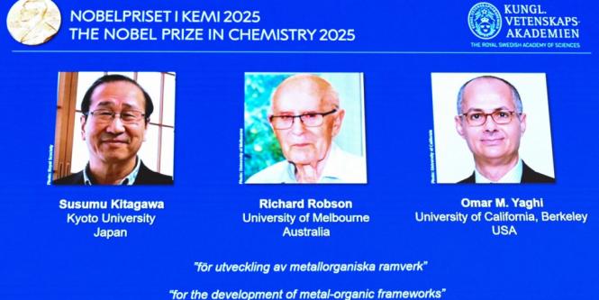 Nobel de Química premia investigaciones sobre nuevas estructuras moleculares