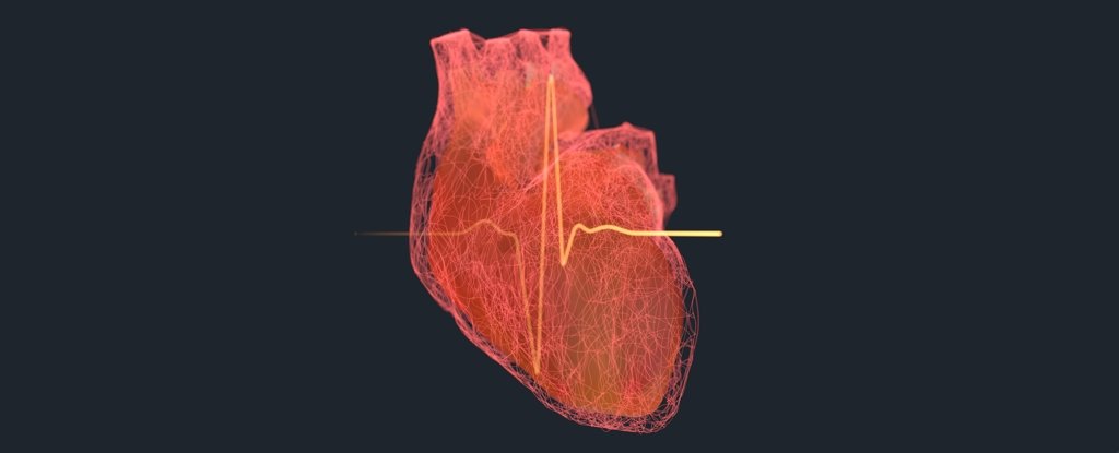 Huge Study Links 99% of Heart Attacks And Strokes With Four Risk Factors