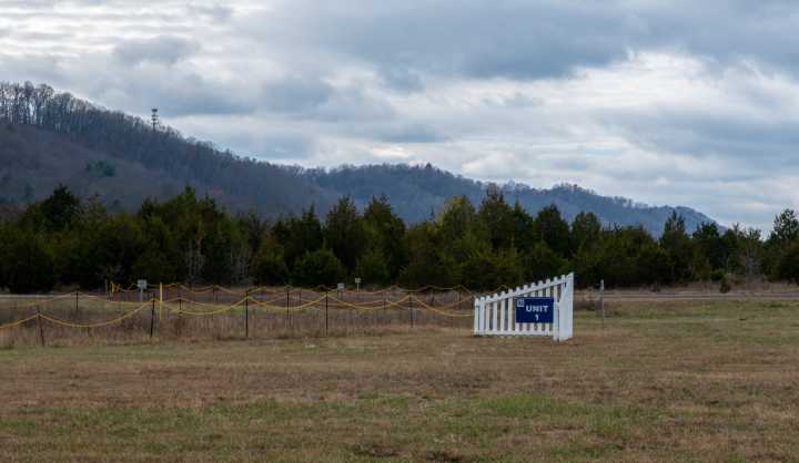 Nuclear hype is building. TVA plans to buy in.