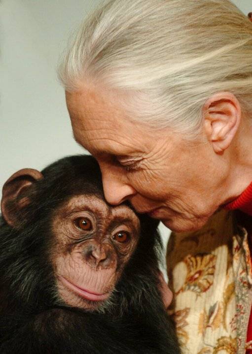 PHOTOS: Remembering renowned chimpanzee expert Jane Goodall, dead at 91