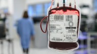 Expert 'kept awake at night' over fear of deadly brain disease passed on in transfusions