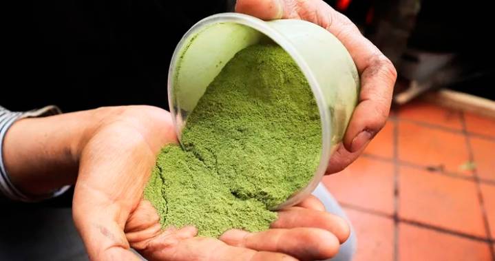 Romper el estigma de la hoja de coca con lana y color, la meta de Tinta Dulce en Colombia