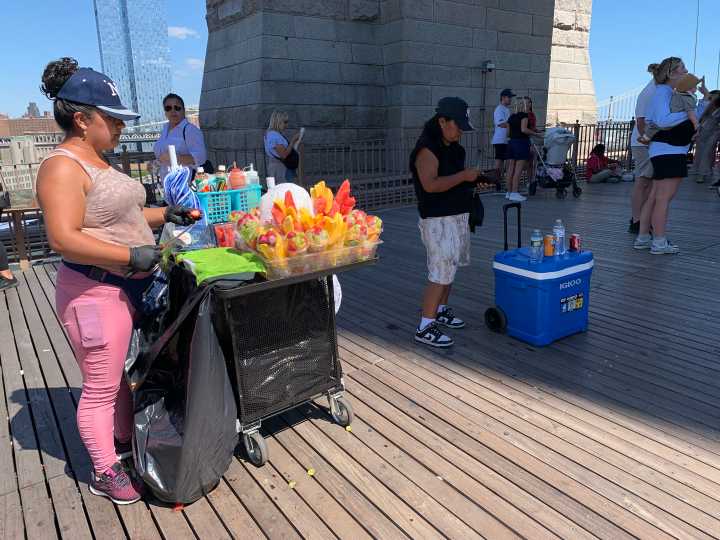 Sales pressure: Policing, policy, and a push for fair street vending in NYC