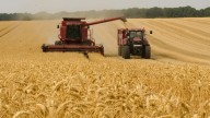 El agro se encamina a una producción récord de trigo y maíz