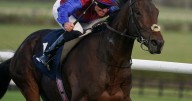 'He looks thrown in at the weights' – Jason Heavey's racing tips