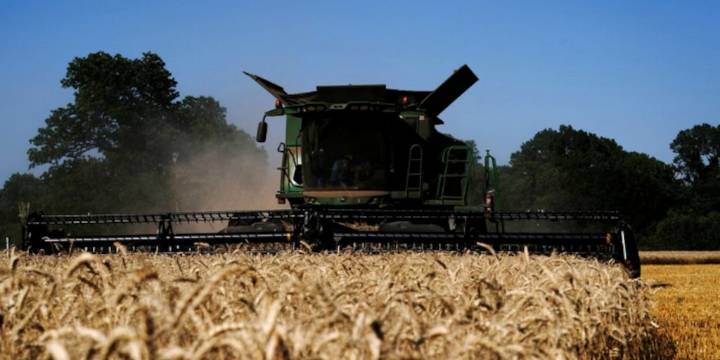 Comenzó con buen ritmo la cosecha de trigo 2025/26