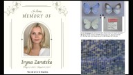Newly Discovered Blue Butterfly Named in Honor of Charlotte Light Rail Victim Iryna Zarutska
