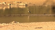 Lake Purdy Dam liability insurance raised to $10 million