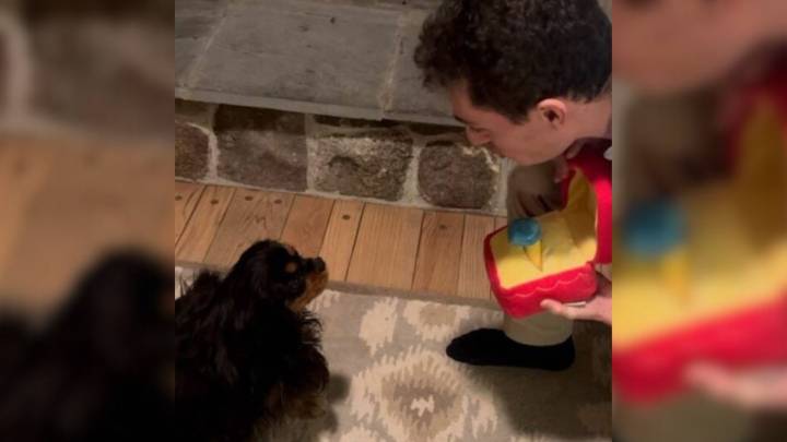 New York Man Surprises Girlfriend And Her Dog With A Double Proposal