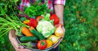 “Cosecha de Saberes y Sabores” Por una alimentación consciente
