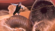 A Bad Sign? Barron Trump Just Tamed A Sandworm