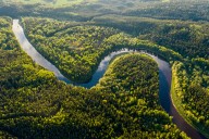 ¿Cómo afecta el cambio climático a los países Latinoamericanos? Expertos revelan claves para cubrir la COP30