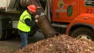 City of Toledo leaf collection begins Nov. 3: See the schedule for when crews will be in your neighborhood