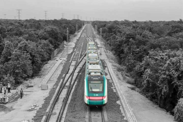 Tren Maya: Semarnat admite daño ambiental en cenotes; se trabaja en medidas de mitigación