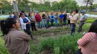 Se realizó una jornada de capacitación en horticultura en Las Lomitas