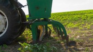 Georgia farmers await federal grants as growing season passes