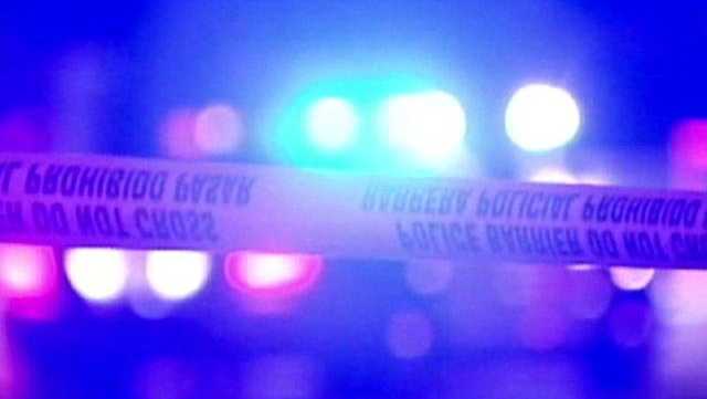 Pedestrian killed in hit-and