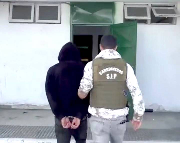 Arrestan a presunto culpable de faenar a yegua: agrupaciones anuncian marcha