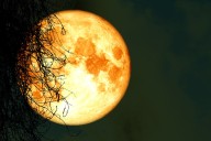 Luna llena de la Cosecha de octubre 2025: predicciones por signo