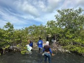 Realizan jornada Pesca tu Plástico en lagunas de Punta de Piedras