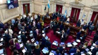 El Senado sesionará para rechazar los vetos por Garrahan y universidades