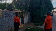 Abejas Atacan a Directora y Alumnos de Primaria en Matamoros, Coahuila