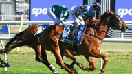 RACING 
                                          Comments
                                        
                                          Premium
                                        Traine